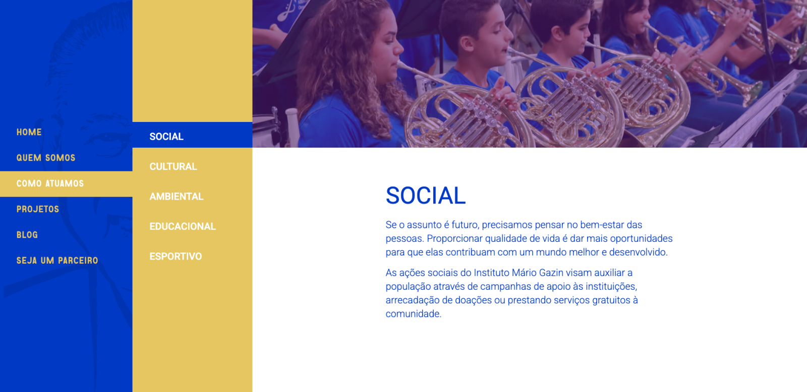 Site instituto Mário Gazin